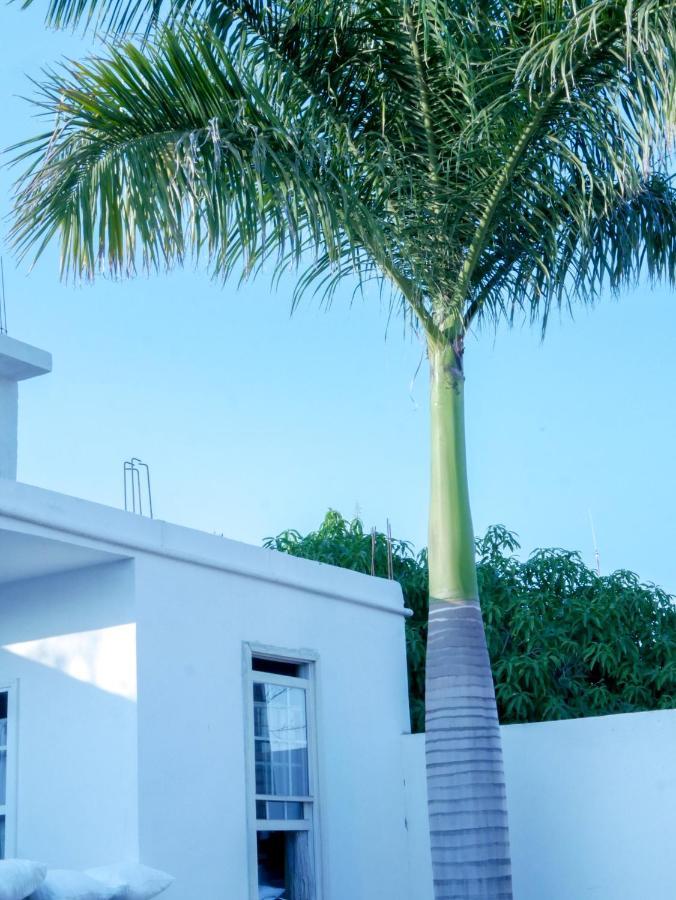 Hotel La Huerta Río Verde エクステリア 写真